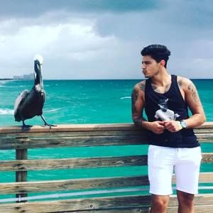 Meet your Posher, Hanea